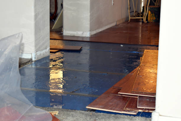 Professional Basement Flood Cleanup technician working in Arlington, OH